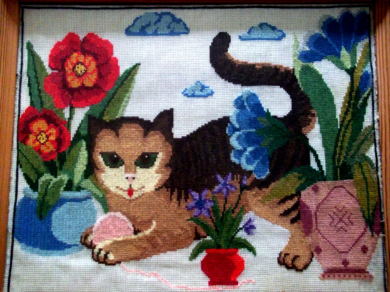 Katze zwischen Blumentöpfe