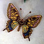 braun- gelber Schmetterling in Plastik canvas